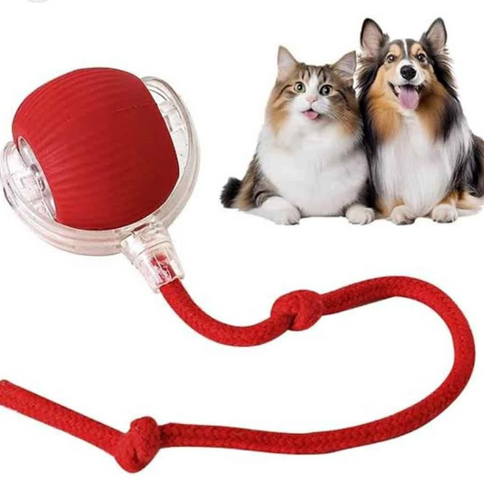 PELOTA INTELIGENTE PRO